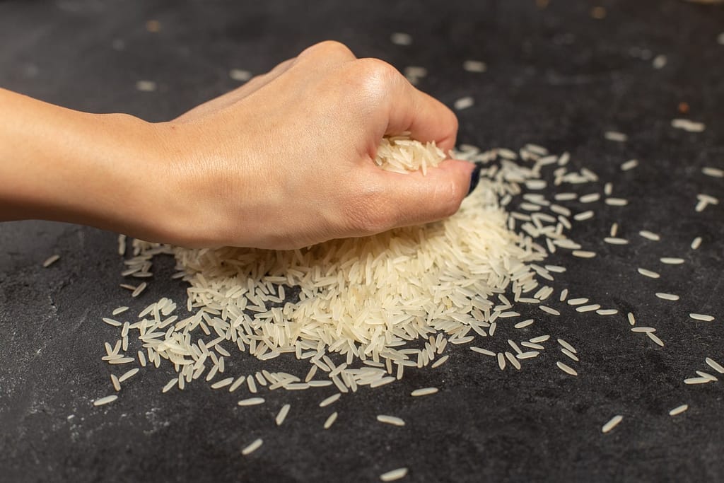 Find Out About Rice Allergy & Rice Intolerance | IntoleranceLab